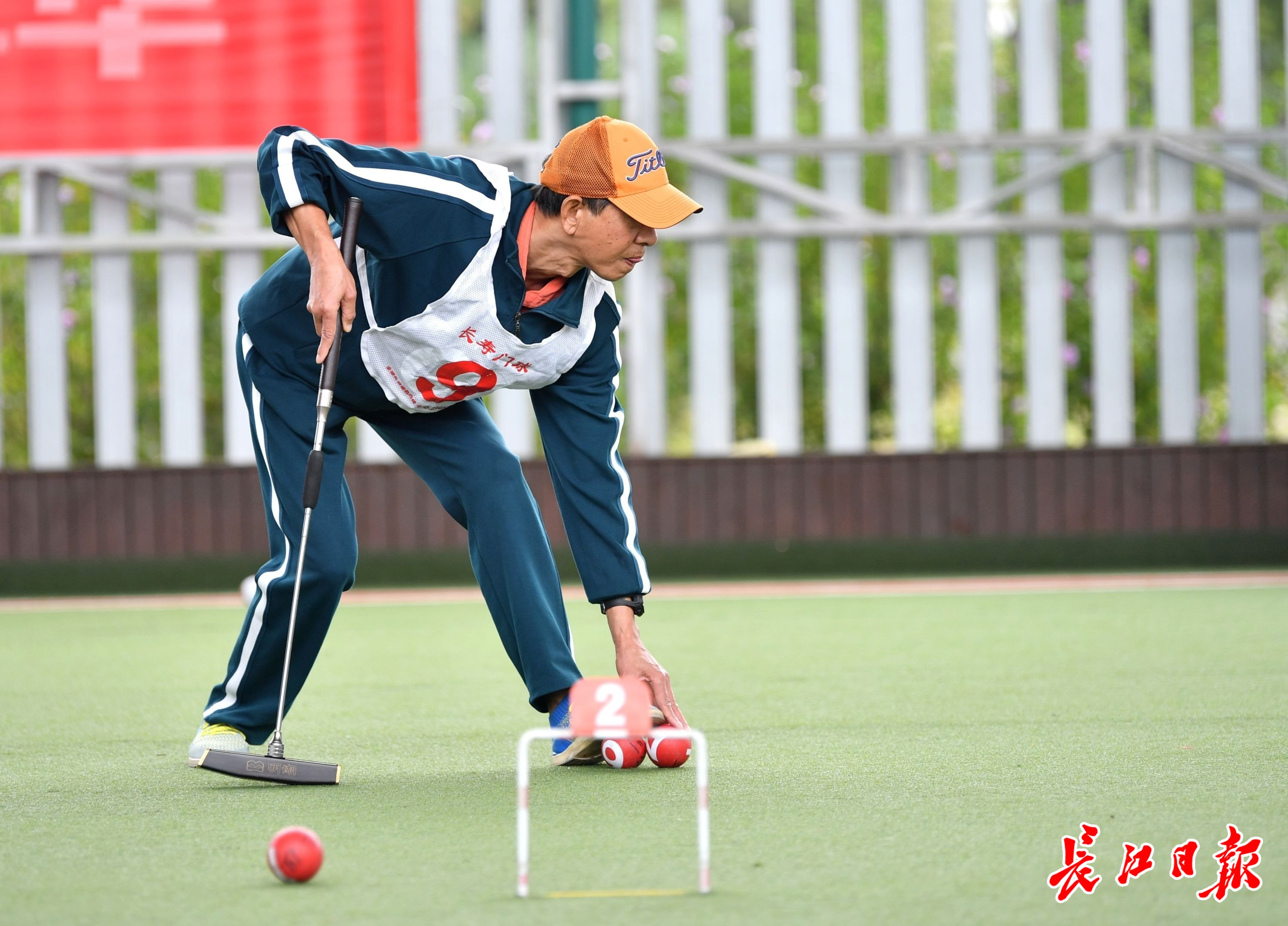 温州门球_(温州门球草) 第1张 温州门球_(温州门球草) 第1张