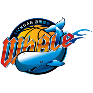 看球宝比赛直播在线观看回放_(看球宝比赛直播,nba录像直播吧)  第1张