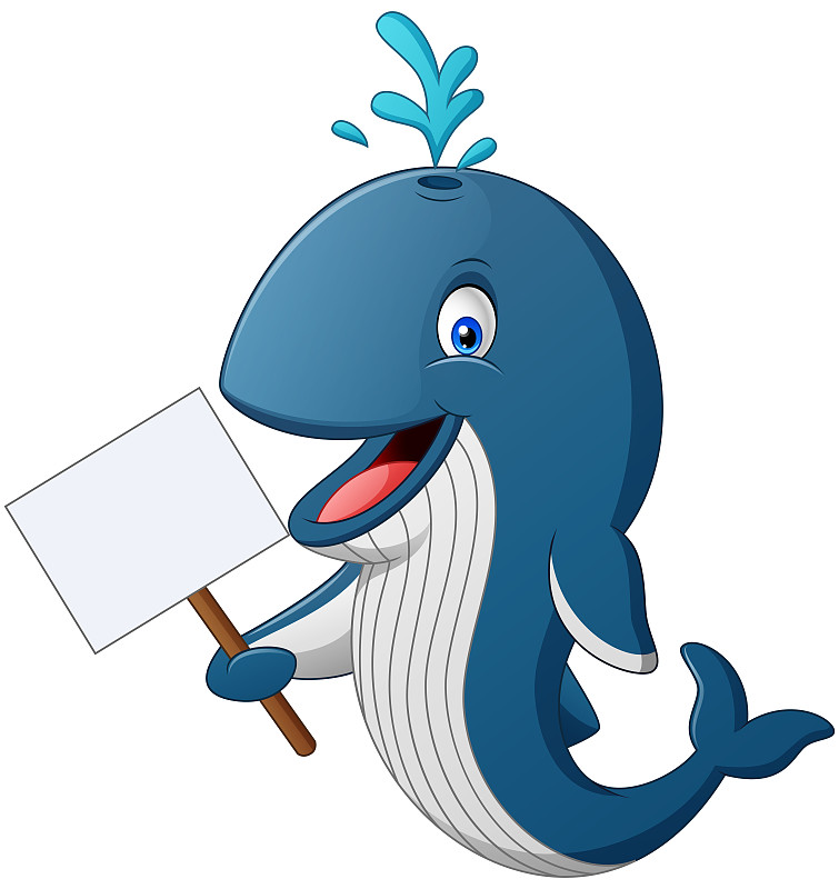 鲸鱼体育苹果版下载_(鲸鱼体育app官网入口) 第1张 鲸鱼体育苹果版下载_(鲸鱼体育app官网入口) 第1张