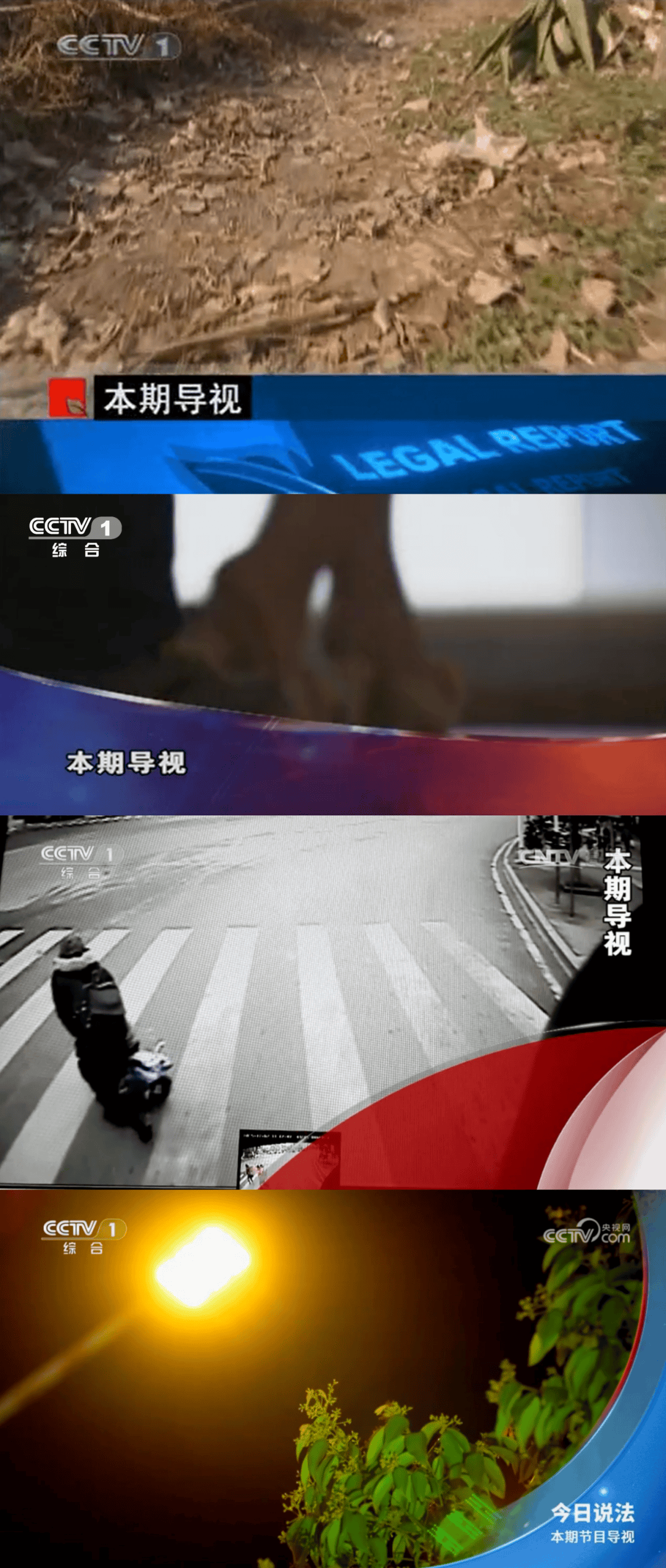 今日说法最新一期_(今日说法最新一期内容) 第1张 今日说法最新一期_(今日说法最新一期内容) 第1张