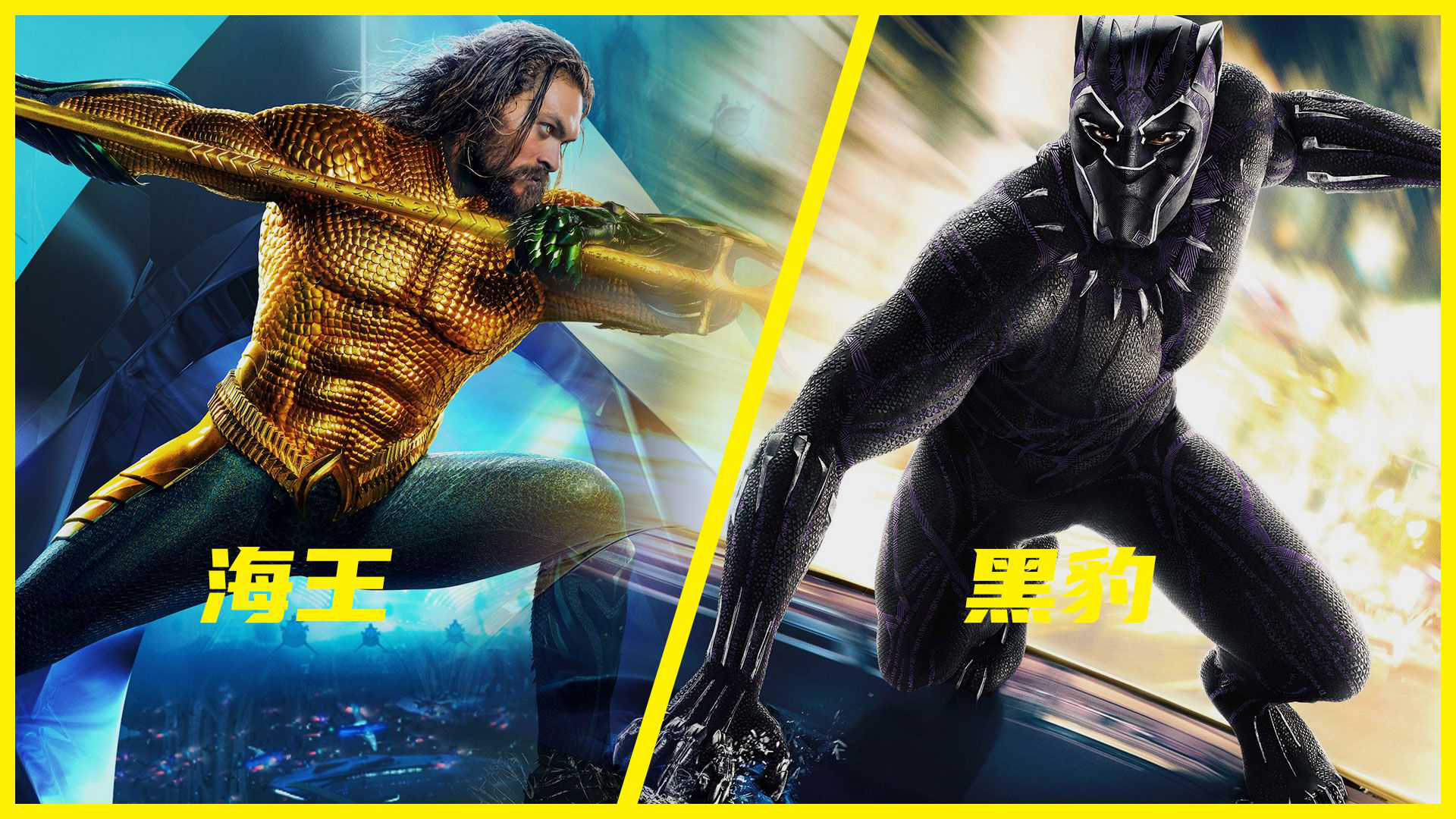 关于南非甲：文达VS黑豹的信息  第1张