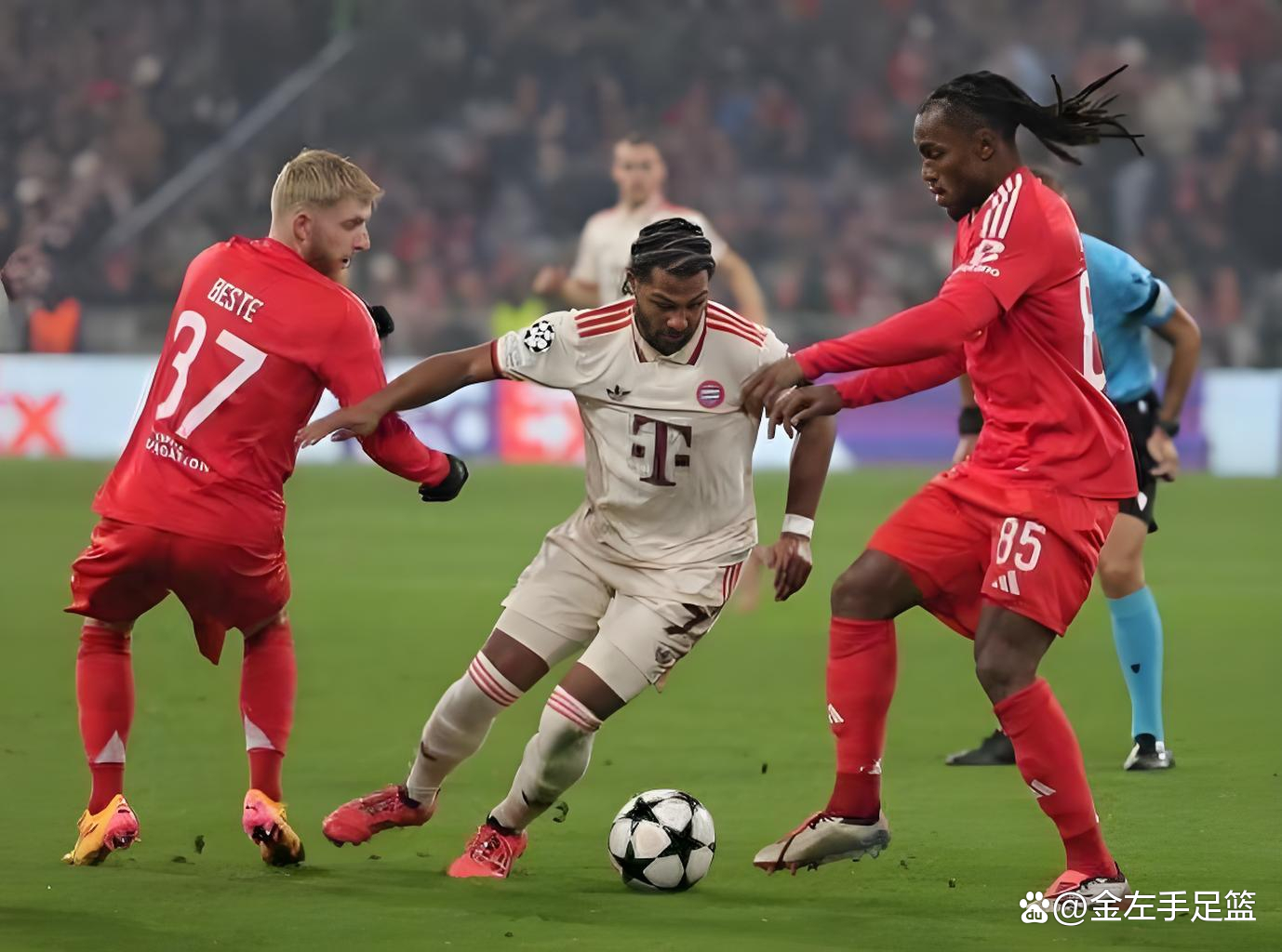 欧篮联:瓦伦西亚VS拜仁慕尼黑的简单介绍  第2张