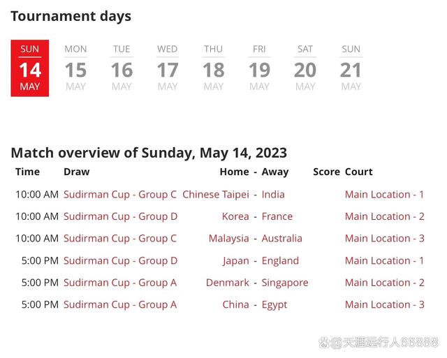 埃及公布11月国际比赛日名单球队将进行热身赛检验阵容的简单介绍  第2张