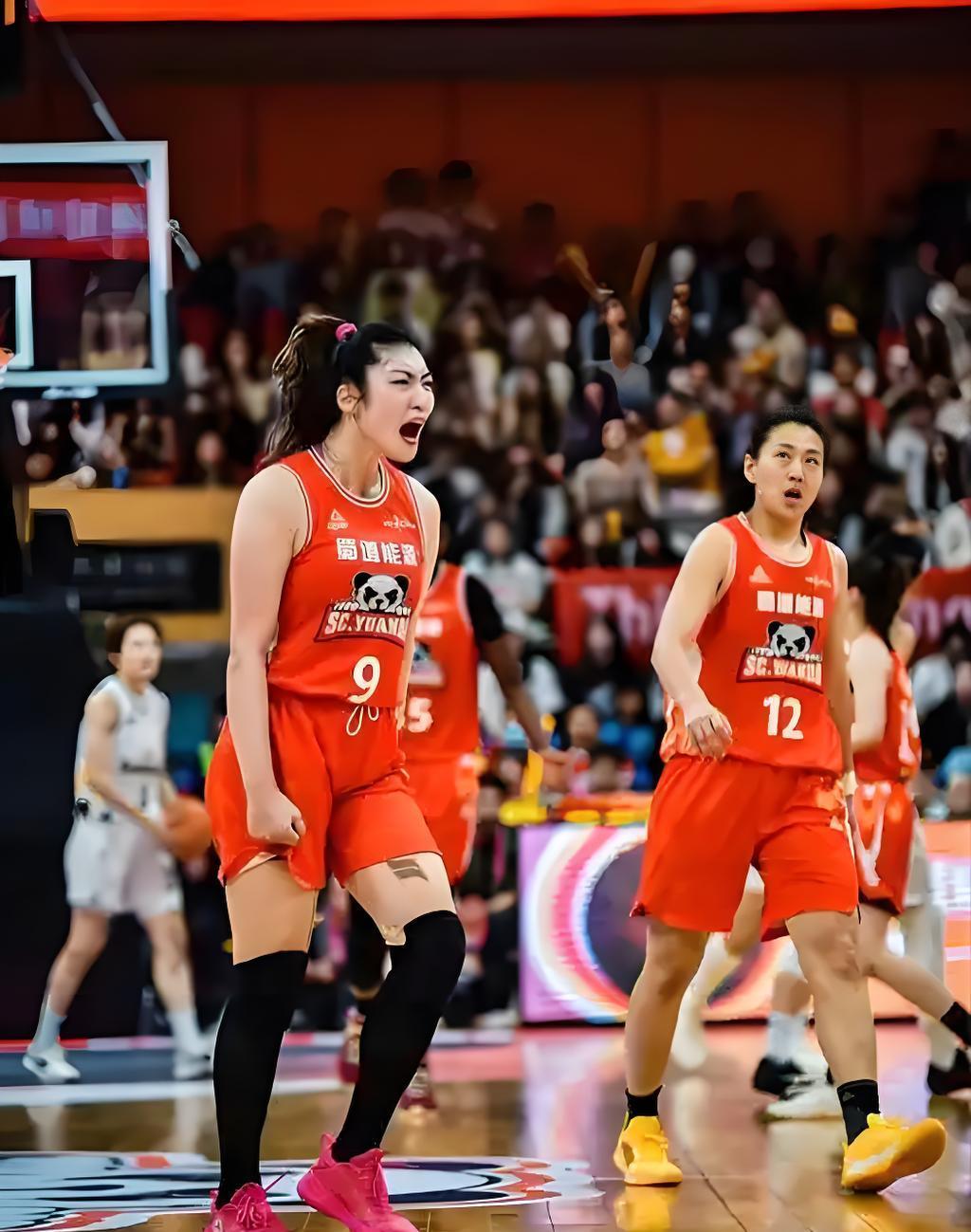 李梦王思雨缺席锦标赛四川女篮阵容豪华的简单介绍  第1张