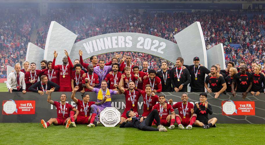 关于水晶宫今夏仅花230万欧引进2人拿下社区盾的信息