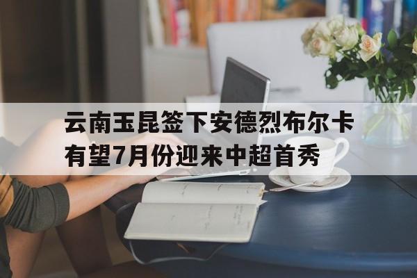 云南玉昆签下安德烈布尔卡有望7月份迎来中超首秀的简单介绍