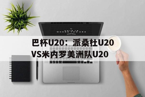 关于巴杯U20：派桑杜U20VS米内罗美洲队U20的信息  第1张
