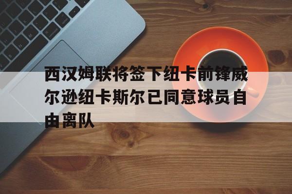 西汉姆联将签下纽卡前锋威尔逊纽卡斯尔已同意球员自由离队的简单介绍  第1张